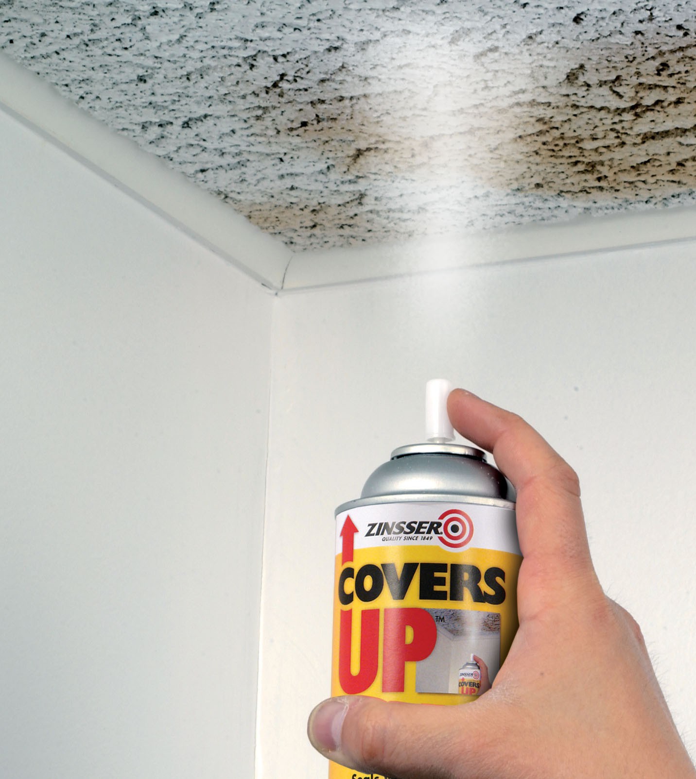 Zinsser Ers Up Ceiling Paint White